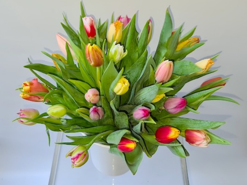 Tulpenstrauß Mix mit Heidelbeergrün