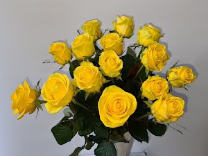 Fairtrade Rosen